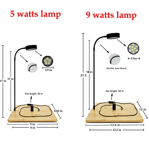 AREPK Aquarium & Terrarium Light, Full Spectrum LED with Auto On/Off Timer | Fits Various Tank Shapes; For Tanks Under 7 Gallons, Betta Tanks, Moss, Succulents, Carnivorous Plants and Mini Landscapes