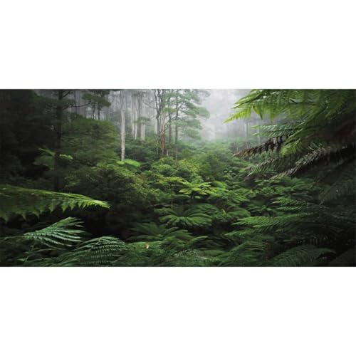 36x18 in Rainforest Aquarium Backdrop Green Tree Reptile Habitat Background | AWERT Foggy Forest Tropical Plants Terrarium Background Durable Polyester - size: 36x18in/90x45cm