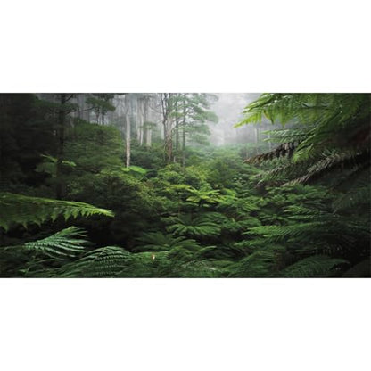 48x18 in Rainforest Aquarium Backdrop Green Tree Reptile Habitat Background | AWERT Foggy Forest Tropical Plants Terrarium Background Durable Polyester - size: 48x18in/120x45cm
