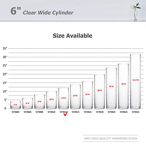 WGV Cylinder Glass Vase, Width 6", Height 12", [Different Heights Available] Clear Container Terrarium for Wedding Centerpiece, Party Event, Home Decor, 1 Piece - size: 6"x12"H
