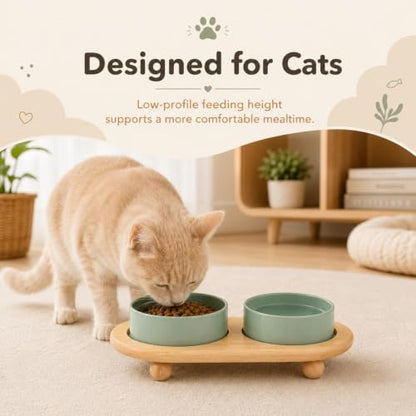 Havniva Raised Cat Bowl 5.1” Elevated Ceramic Cat Food and Water Bowl Set | Cat Bowls Elevated, Whisker Friendly Cat Bowl, Non-Slip Wood Stand, Food-Grade Ceramic, Wide Opening, Dishwasher Safe - color: Light Green, size: 2 Bowls+Tray - 5.1"