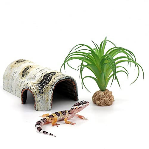 Reptile Hides and Caves Birch Tree Bark Trunk Habitats Decor Aquarium Decoration Wood for Lizard Geckos Snake Spiders Frogs Turtle (Small) - style: Small