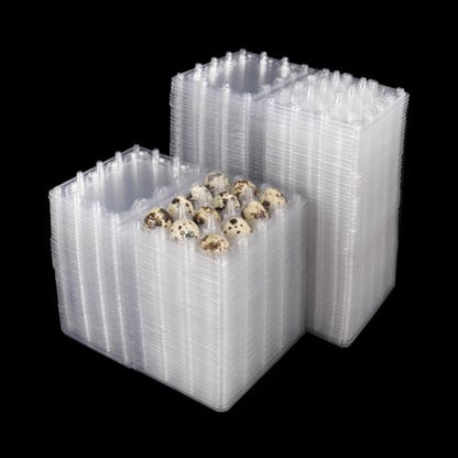 200 Pack Quail Egg Cartons, Clear Plastic Quail Egg Trays, Holds up to 12 Quail Eggs Securely - Your Ultimate Small Eggs Carton Holders for Bulk Storage and Display - size: 12 Grids