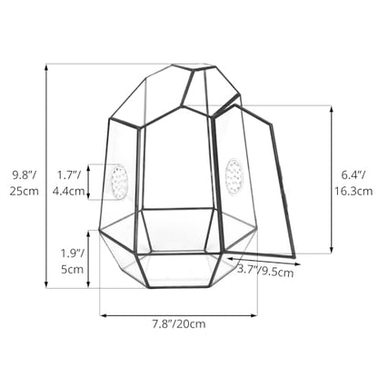 NCYP Closed Geometric Glass Enclosure with Front Opening Door & 2 Vent Holes for Insects, Snail, Moss, Fern - 7.9"x6.9"x9.8" Black Irregular Terrarium - Home Garden Tabletop Decor (No Plants)