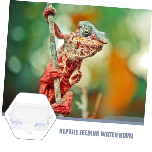 HANABASS Water Bowl Suction Cup Reptile Feeder Bowl Gecko Feeding Snake Water Dish Escape Design - color: Transparent, size: 9.00X6.00X3.50CM