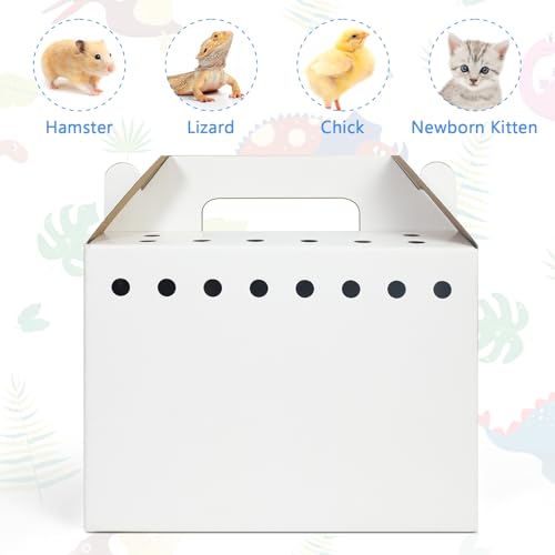 Disposable Cardboard Pet Carrier for Small Animals-12 Pack