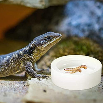 Feeder Food Dish Ceramic Water Bowl Feeding Dish Anti-Escape Container for Bearded Dragon Corn Snake