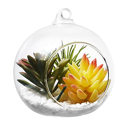 Hanging Glass Candle Holder, Globe Glass Tea Light Holder, Hanging Glass Vase, Flower Plants Terrarium, Glass Orbs Container, Micro Landscape DIY for Home, Office, Wedding (3.15" 24Pcs) - color: 3.15" 24pcs