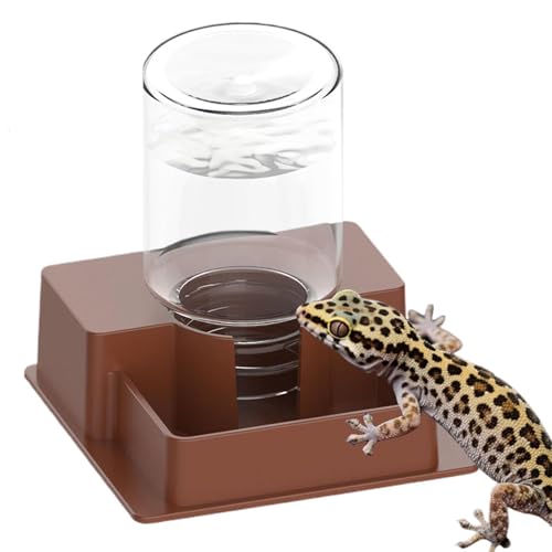 Bearded Dragon Water Bowl, Self Dispensing Fountain for Terrarium with Constant Supply, Reservoir Basin Unit, Home Garden Yard Outdoor Habitat Decor for Chameleon Iguana Frog Medium - size: Medium