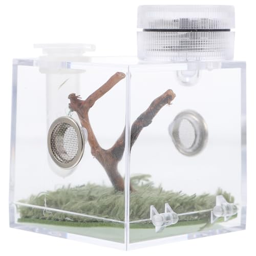 ibasenice Jumping Spider Cage with Lamp Transparent Small Spider Habitat Box 2.16X1.96X1.96 Inch Compact Jumping Enclosure for Feeding and Observation - color: Transparent