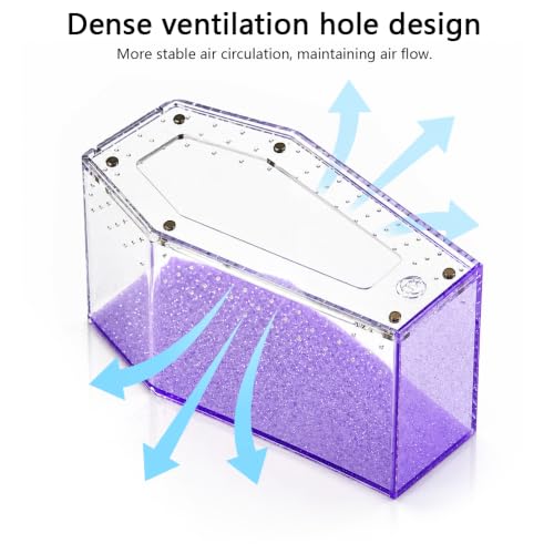 Glitter Acrylic Coffin Jumping Spider Enclosure - Gothic Terrarium Habitat with Magnetic Lid, Micro Reptile Breeding Box for Slings, Mantis, Isopods and Small Insects (Glitter Purple) - color: Glitter Purple