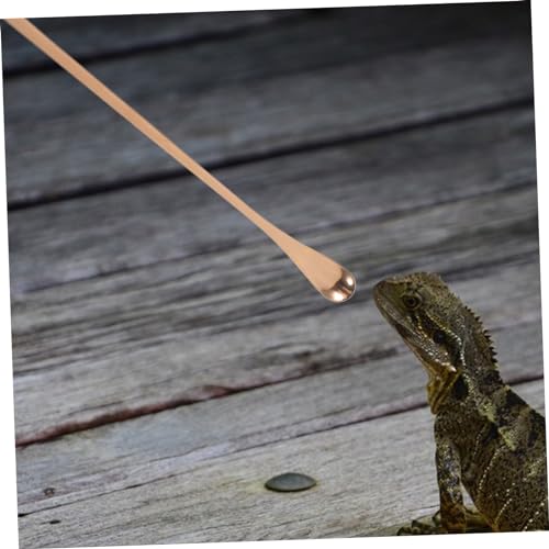 BESPORTBLE 2pcs Ergonomic Reptile Food Spoon Long Handle Feeding Tool for Lizards Geckos and Small Animals Portable and Lightweight Rose Gold Design - color: Rose Gold