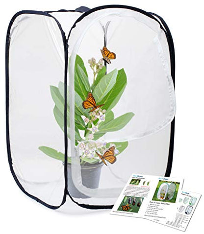 RESTCLOUD Insect and Butterfly Habitat Cage Terrarium Pop-up 23.6 Inches Tall - color: White With Black, size: 15.7 x 15.7 x 23.6 inches