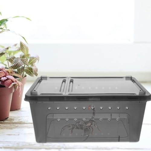 BESPORTBLE 2pcs Creative Reptile Feeding Box Breathable Bin for Snakes Geckos Crickets Enclosure for Reptiles Secure and Fade Resistant Habitat Container