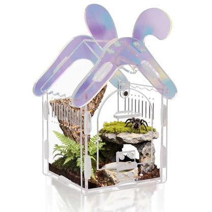 Acrylic Jumping Spider Enclosure with Magnetic Lock, 3mm Clear Terrarium for Tarantula, Mantis, Scorpion | Escape-Proof, No Tool Assembly