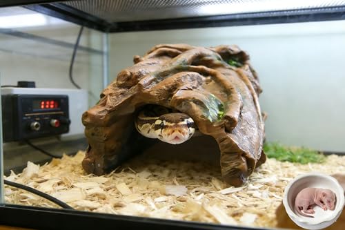 XL Reptile Hide Cave – Aquarium Decor for Snake & Gecko - size: Extra Large