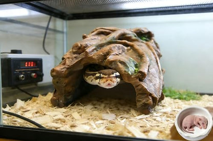 XL Reptile Hide Cave – Aquarium Decor for Snake & Gecko - size: Extra Large