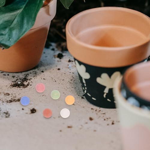 jojofuny Colorful Clay Pebbles and Small River Rocks for Indoor Plants Hydroponics 11-12mm Large Ceramic Balls Lightweight Growing Media for Succulent Planters and Terrarium Gardening