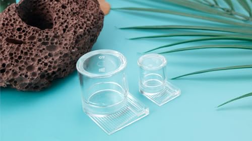 2pcs Mini Ant Water Feeder - Transparent Liquid Feeding Bowls for Ant Farms Small Reptiles Ideal Insect Drinking Tools