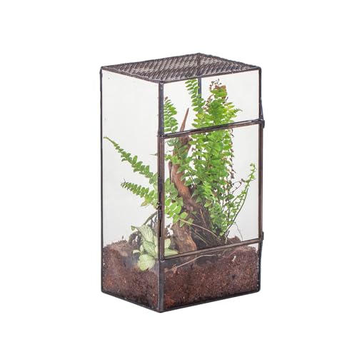 NCYP Glass Terrarium with Door and Mesh for Small Insects - 5.1 x 3.9 x 9 Inches Rectangle Reptile Habitat, Black - Modern Home Tabletop Decor (Terrarium Only)