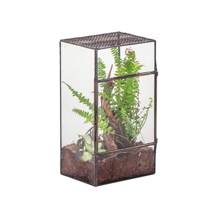 NCYP Glass Terrarium with Door and Mesh for Small Insects - 5.1 x 3.9 x 9 Inches Rectangle Reptile Habitat, Black - Modern Home Tabletop Decor (Terrarium Only)