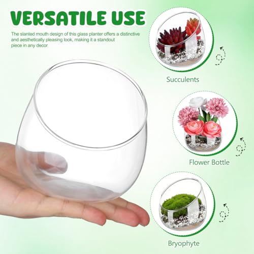 Homoyoyo Clear Glass Terrarium Bowl Vase Slanted Mouth Decorative Bowl for Succulents Moss Air Plants Small Indoor Planter for Desks Bookshelves Home Centerpieces 4.72 X 4.33 X 3.93 in