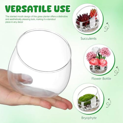 Homoyoyo Clear Glass Terrarium Bowl Vase Slanted Mouth Decorative Bowl for Succulents Moss Air Plants Small Indoor Planter for Desks Bookshelves Home Centerpieces 4.72 X 4.33 X 3.93 in