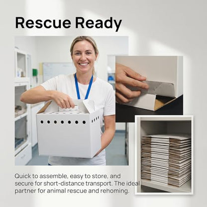 15 Pack Cardboard Pet Carrier Box for Small Pets, 11 x 8 x 6 Inch Disposable Corrugated Small Animals Travel Box with Ventilation & Handle for Chickens, Chicks, Birds, Hamsters & Reptiles