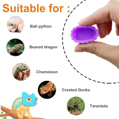 12pc Multicolor Crested Gecko Food & Water Feeding Cups, Small Pet Dish Set