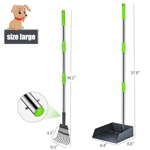 Pooper Scooper for Dogs, Metal Poop Scooper Tray and Rake Set with Adjustable Long Handle, Dog Pooper Scooper for Pet Waste Removal - color: Silver & Green