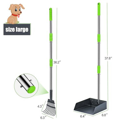 Pooper Scooper for Dogs, Metal Poop Scooper Tray and Rake Set with Adjustable Long Handle, Dog Pooper Scooper for Pet Waste Removal - color: Silver & Green