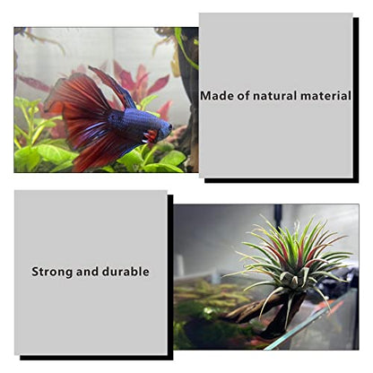 5 Pcs Aquarium Driftwoods Natural Driftwood Fish Tank Decorations Solid Reptile Wood Branches for Fish Tank Small Fish Hiding