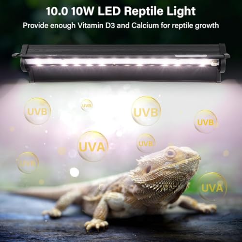 UVB Light for Reptiles, 10W HO LED UVB Reptile Light Fixture UVA UVB Lamp Bulb Terrarium Light for Bearded Dragon Turtle Snake Crested Gecko Chameleon, 12 Inch