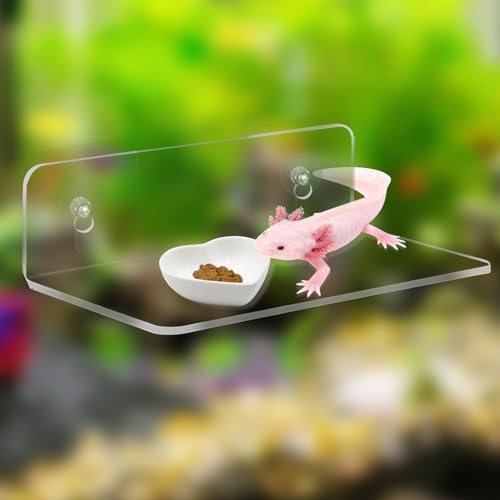 2-in-1 Axolotl Tank Accessories Set, Transparent Acrylic Shelf with Suction Cups and Adhesive Pads, Ceramic Heart Shape Feeding Dish, Food Bowl for Axolotl, Habitat Aquarium Decor