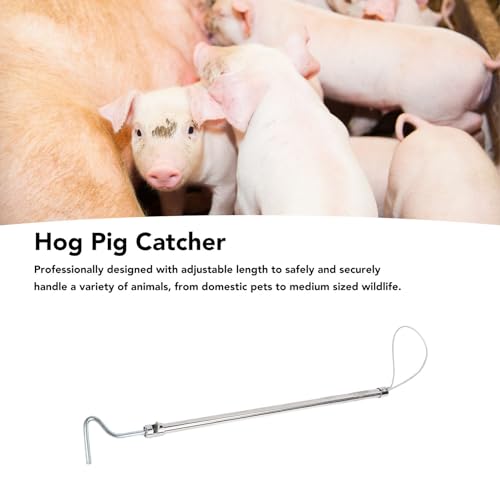 Hog Pig Catcher Pole Stainless Steel Animal Control Tool Adjustable Length for Dogs Pigs Reptiles with Hook T Handle (Hook Handle 75cm) - size: Hook Handle 75cm