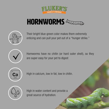 Fluker's Hornworms 24 Count - Reptile and Chicken Food - size: 24 Count (Pack of 1)