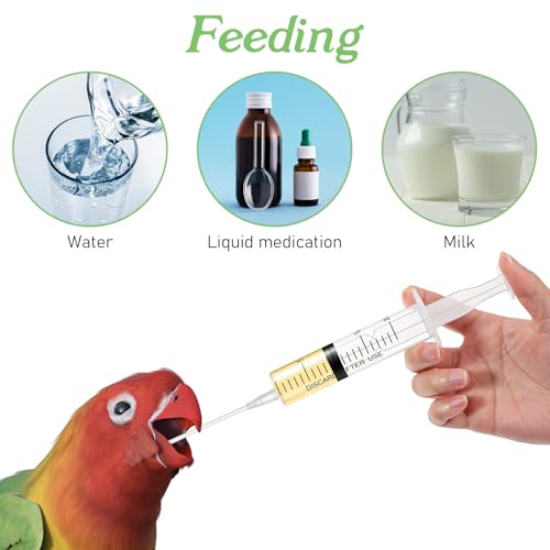 Baby Bird Feeding Syringe, Small Pet Parrot Feeder Hand Feeding Tubes Kit | Reusable Manual Bird Feeding Syringe With Spoon Tip And Soft Tube For Milk, Water, Liquid Food, Parrot, Small Pet