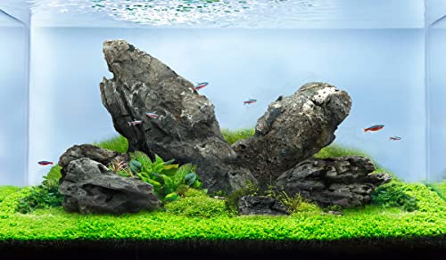 Seiryu Stone Natural Aquascaping Rock 17lb Planted Aquarium Iwagumi | Bluish veined texture; iwagumi aquascape - size: 06 Seiryu Stones(3-11inch,17lbs)