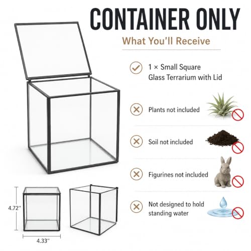 Small Square Glass Terrarium with Lid, 4.3 Inch Clear Glass Planter Box for Moss, Succulents & Air Plants, Mini Fairy Garden Display Case, Black Metal Frame, Indoor Tabletop Plant Decor - size: Small Square