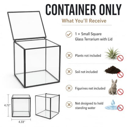 Small Square Glass Terrarium with Lid, 4.3 Inch Clear Glass Planter Box for Moss, Succulents & Air Plants, Mini Fairy Garden Display Case, Black Metal Frame, Indoor Tabletop Plant Decor - size: Small Square
