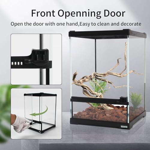 Mini Reptile Glass Terrarium Tank 8"*8"*10" Full View with Front Opening Door,Amphibians Enclosure Habitat Cage for Leopard Gecko Tarantula Young Lizard Hermit Crab Frog Insects Breeding - size: 8x8x10 inch