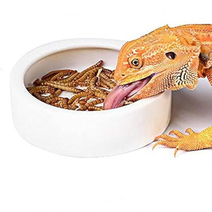 Reptiles Bowl Ceramics Dish 3.9 x 1 inch Round Feeder Anti-Escape Dubia Roach Breadworm Plate with Deep Edge for Lizard Gecko Tortoise (M)