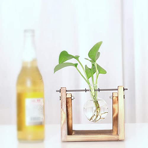 Kingbuy Plant Propagation Station Bulb Vase, 1 Bulb Vase | Air Plant Terrarium, Wooden Swivel Holder, Desktop Glass Planter, For Indoor Water Plants - size: 1 Bulb Vase
