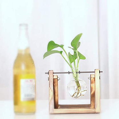 Kingbuy Plant Propagation Station Bulb Vase, 1 Bulb Vase | Air Plant Terrarium, Wooden Swivel Holder, Desktop Glass Planter, For Indoor Water Plants - size: 1 Bulb Vase