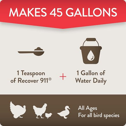 Recover 911, Poultry Water Supplement for Flock Emergencies,8oz | Use during flock challenges like extreme temperatures, predator attacks, molting, introducing new chickens & feather pecking. - size: 8 Ounce (Pack of 1), style: Recover 911
