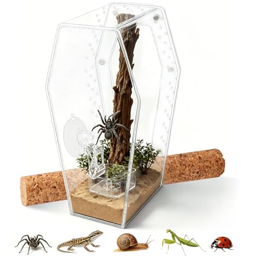 Jumping Spider Enclosure, Magnetic Door Acrylic Terrarium with Feeding Dish & Landscape Stick for Tarantula Snails Insects Reptiles Plants, Coffin Shape Tabletop Decor 4" x 4" x 8"