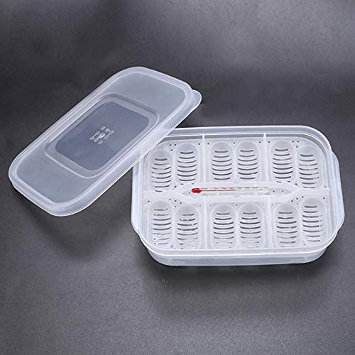 Reptile Breeding Box,16.5x11x5.2cm Reptile Hatchery Box Reptile Incubation Box with Transparent Cover and Temperature Measuring for Hatching Reptiles Lizards, Snakes