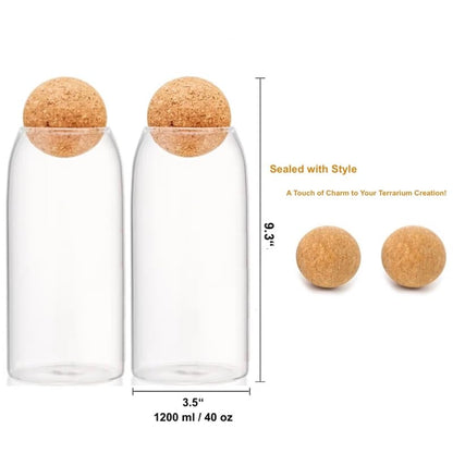 DIY Terrarium Kit with Closed Glass Bottle Container Planter with Lid (Ball Cork) | 2 Jars | Airtight Terrarium | Create Your Own Indoor Garden (No Live Plants) - style: Terrarium Kit + 2 Jars