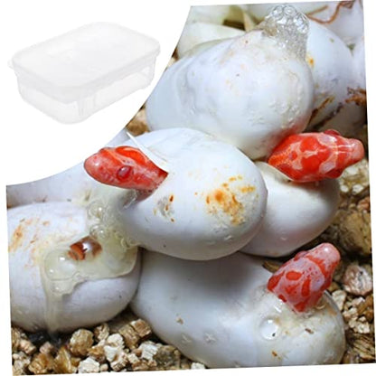DECHOUS Reptile Hatching Incubation Box Transparent Dual Design for Lizard Breeding Lightweight and Durable Hatching Hatchery Container Reptile Enthusiasts