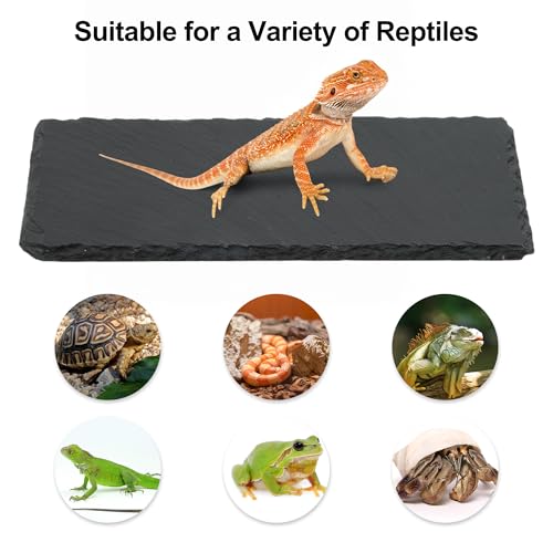 Reptiles Slate Rocks, Basking Surface Reptile Basking Platform, Enhances Climbing Activity, 11.81"x5.91", Black Gray - size: 11.81"x5.91"